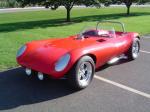 Cheetah Roadster 2008 года